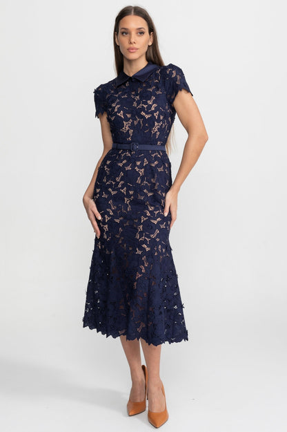 Lace Collared Short Sleeve Midi Dress