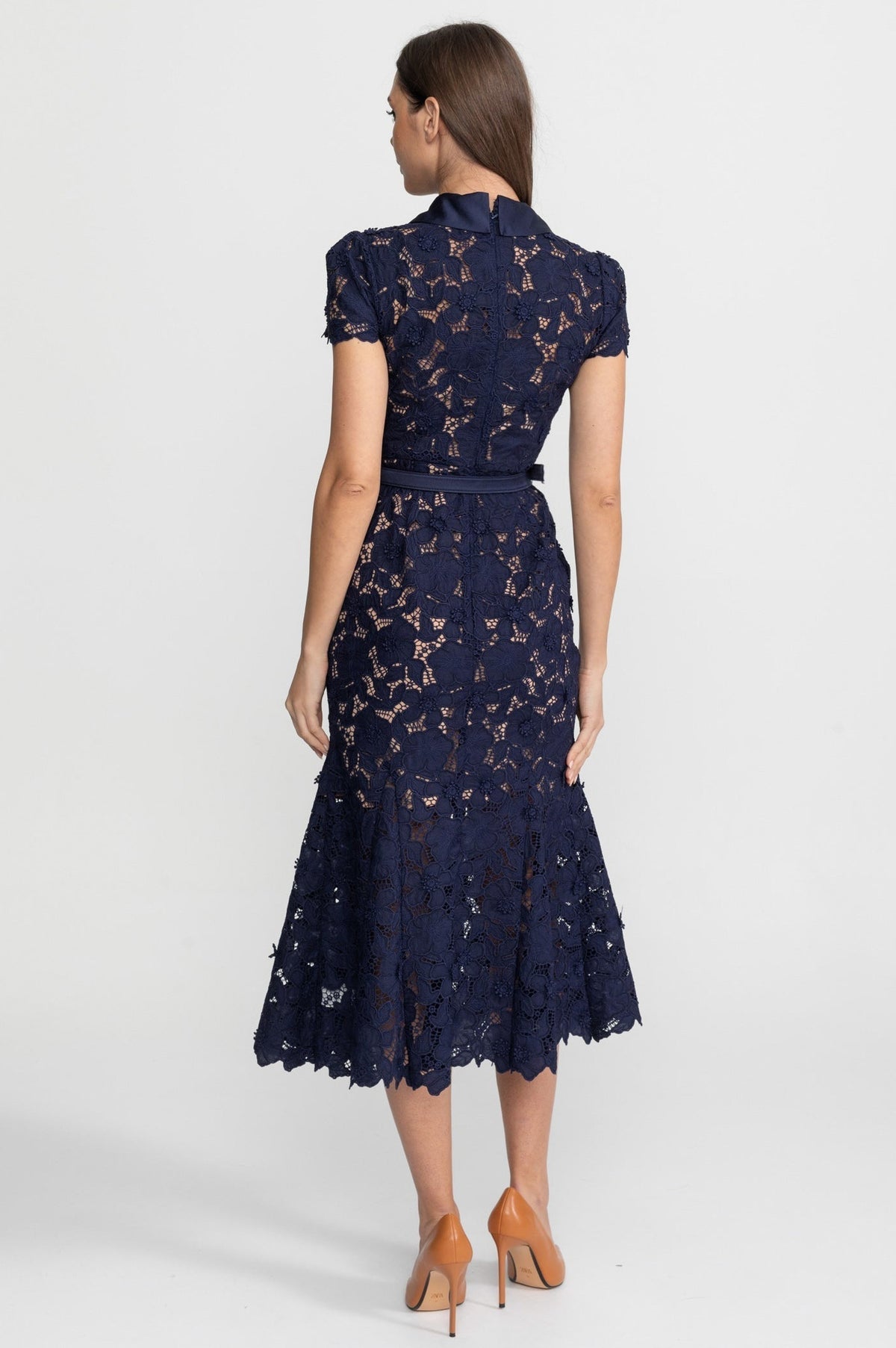 Lace Collared Short Sleeve Midi Dress