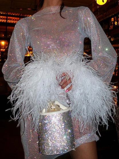Mesh Long Sleeve Feather Mini Dress