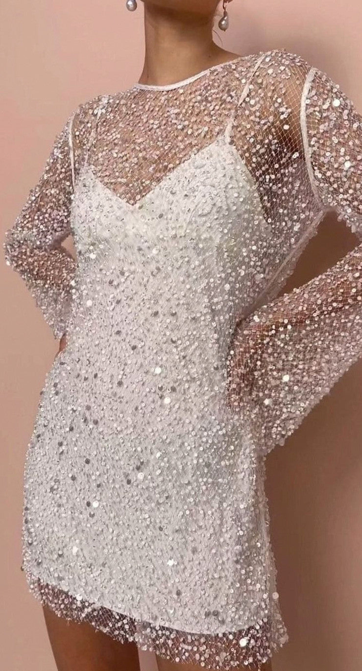 Sequin Mesh Long Sleeve Mini Dress